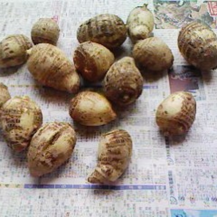 里芋の皮のむき方 おせちの八つ頭にも!
